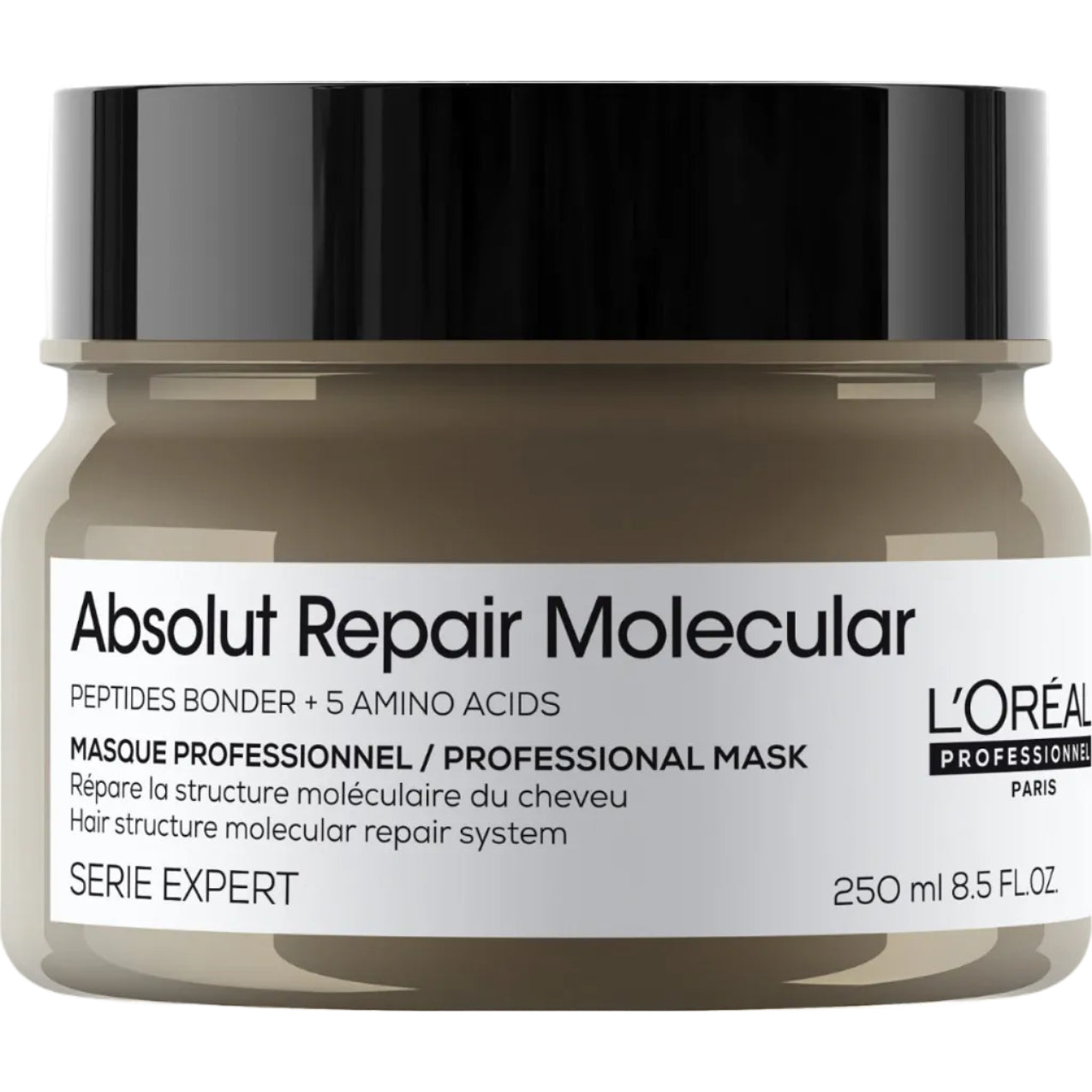 Loreal Absolut Repair Molecular Mask 250 ml